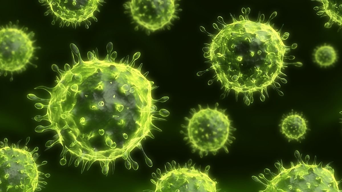 What Is Nipah Virus And How To Prevent It?