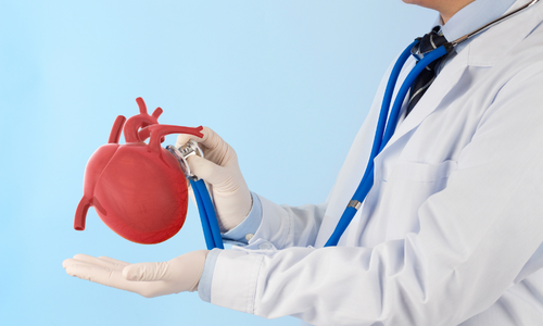 Heart Hospitals